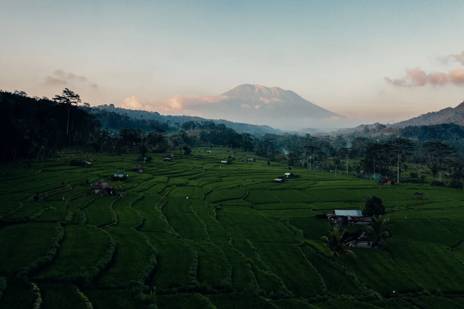 A quiet green field in the countryside of eastern Bali, Indonesia
