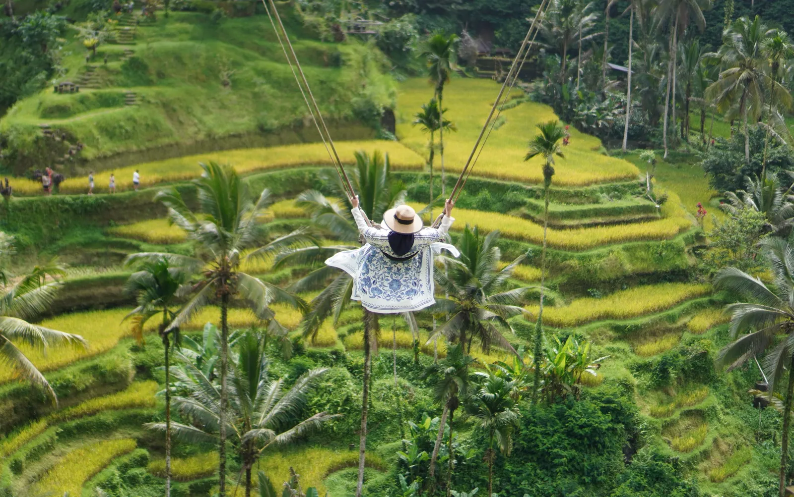 Wooden swing platform strung between palm trees above the rice terraces at Tegalalang, Bali