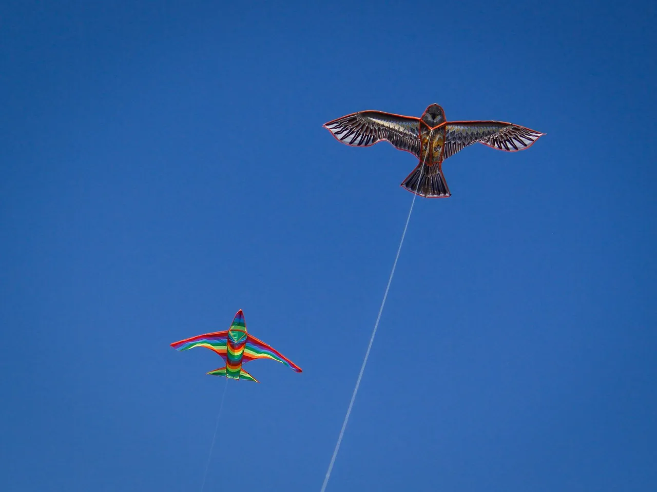 A janggan bird kite with a long ribbon tail flying high in the sky over Bali