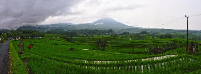 Green terraced rice paddies stepping down a wide valley, with a volcano on the cloudy horizon
