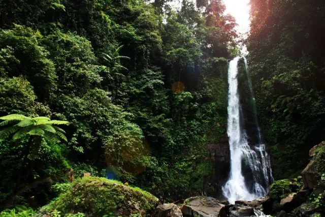 A tall narrow waterfall dropping into a pool inside dense rainforest