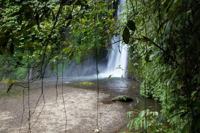 A white waterfall inside thick green forest, with a wide stream bed in the foreground
