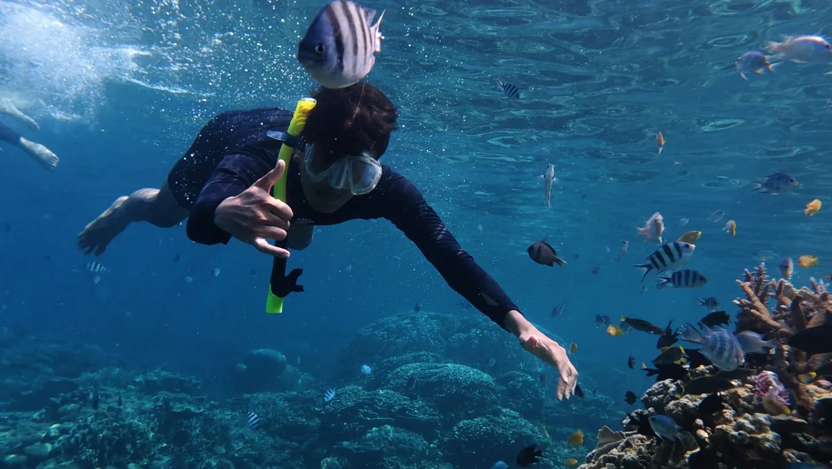 A snorkeller swimming above a reef with fish