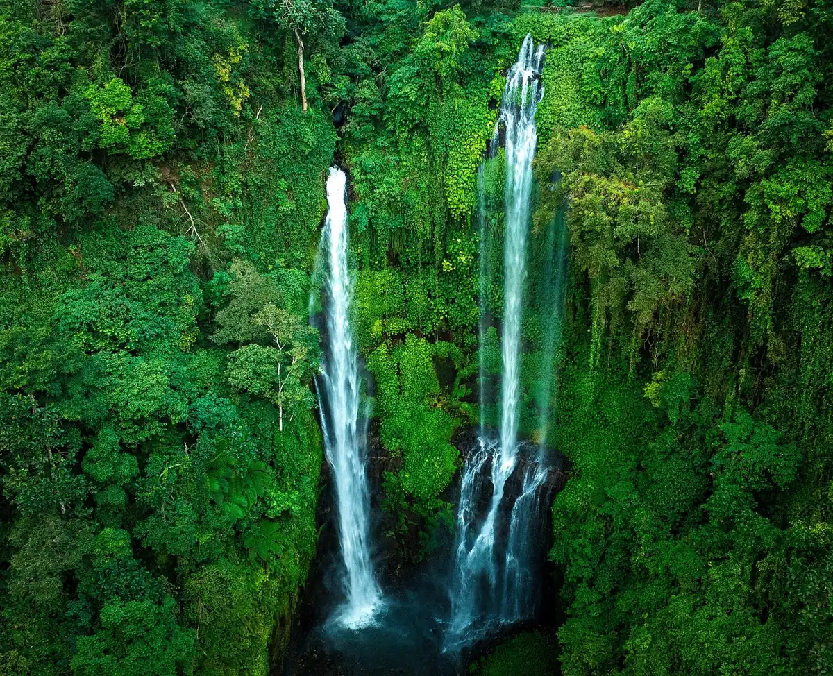 Two tall waterfalls between forested slopes