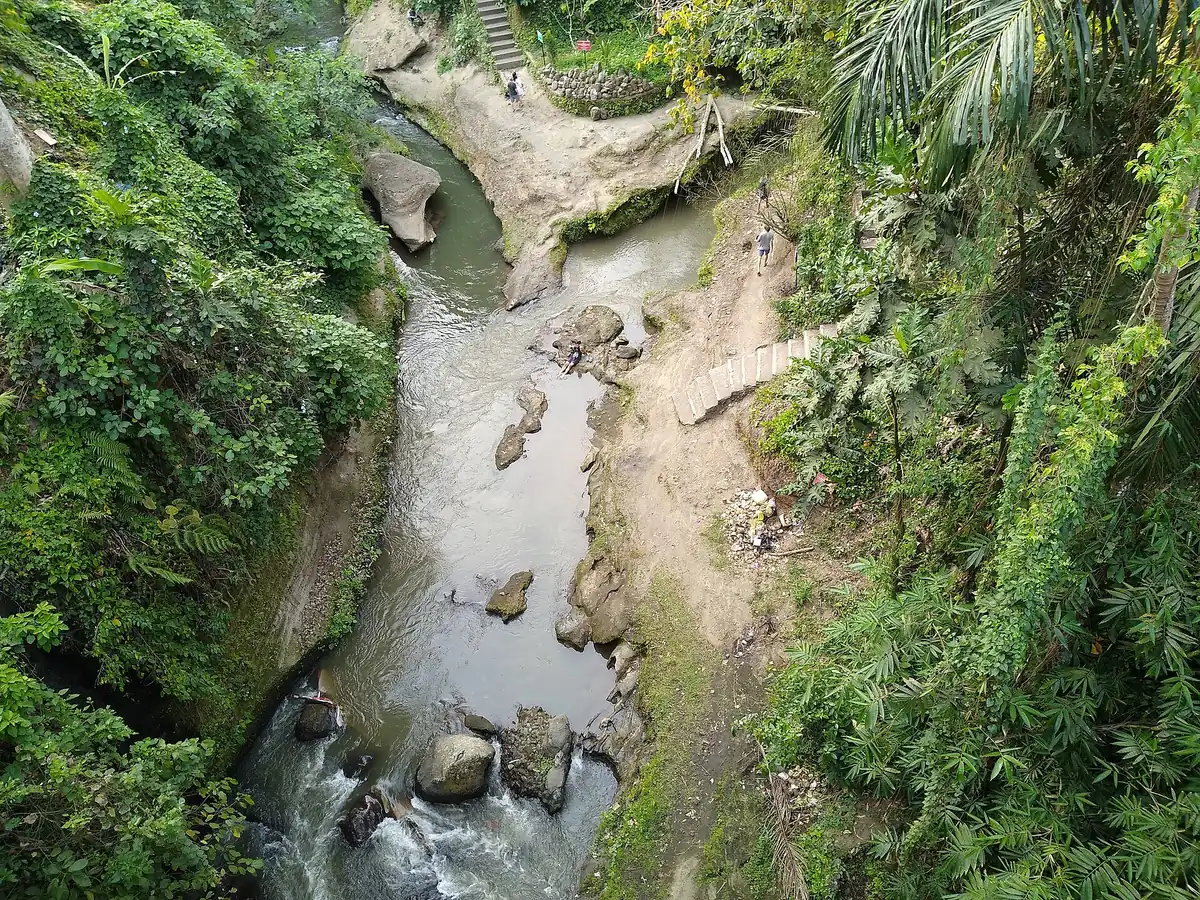 A green river gorge between forested slopes