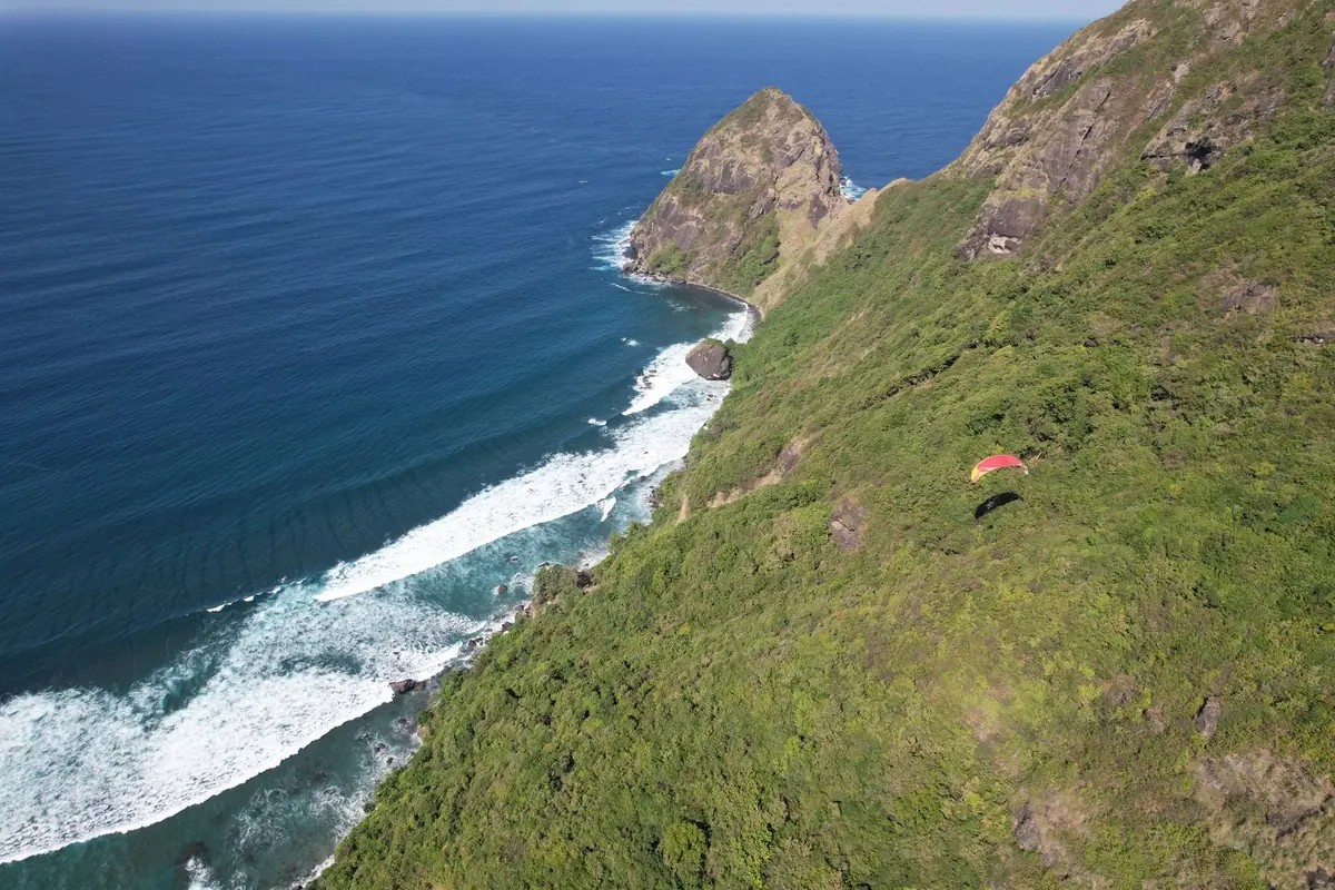 A paraglider above a green headland by the sea