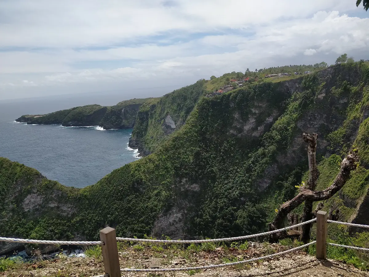 Steep green cliffs dropping to a rough sea, with a rope fence along the viewing edge
