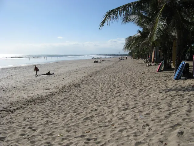 A wide strip of sand with palms and surfboards propped at the side, a few people down by the sea