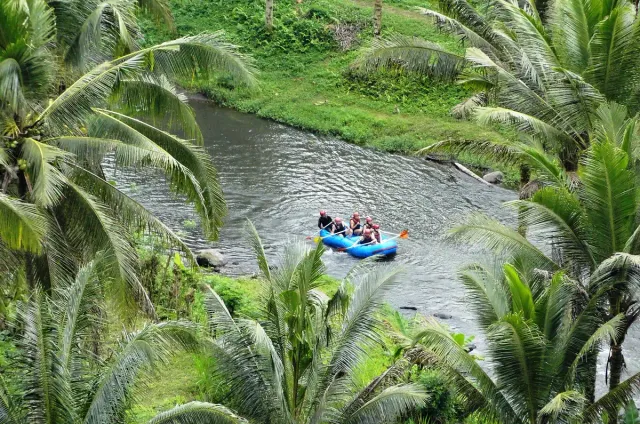 An inflatable raft with paddlers on a brown river, between banks of thick forest and palms