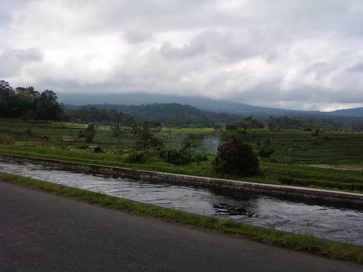 Flooded rice terraces mirroring the sky, with palms and a wooded ridge behind