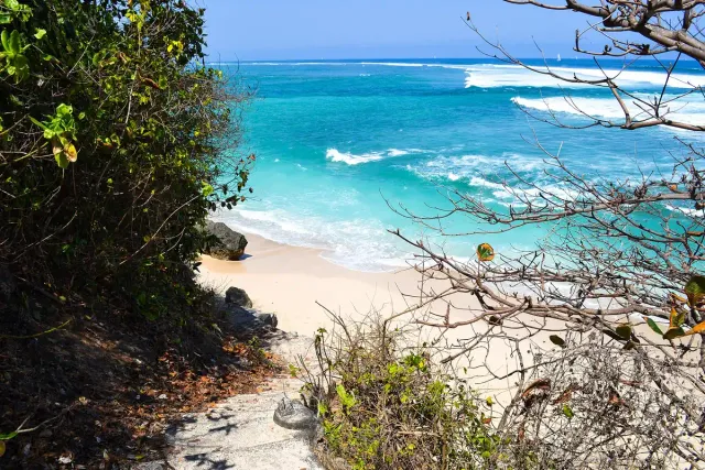 Bright turquoise water and white sand seen through dry branches, a limestone cliff at the end of the cove