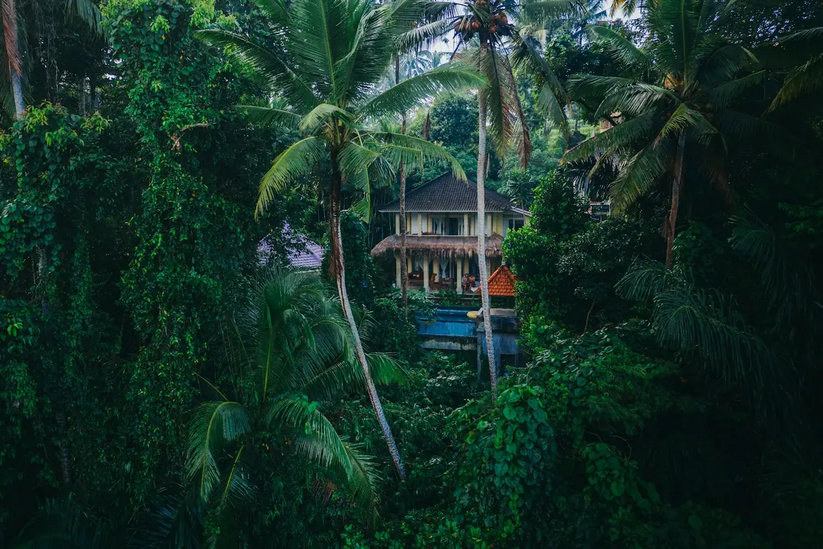 A villa among treetops in rainforest