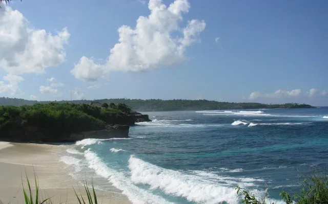 White waves rolling into a pale sand cove, with a plant covered cliff at its end