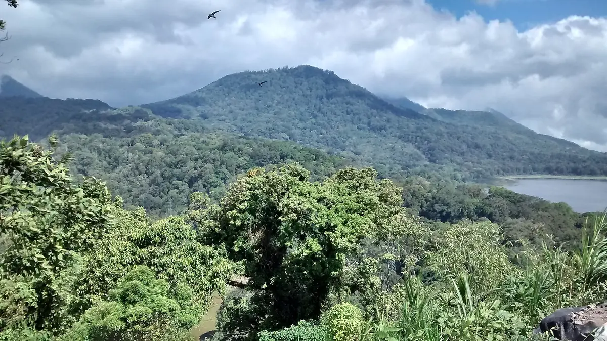 Forested hills and a lake between mountains