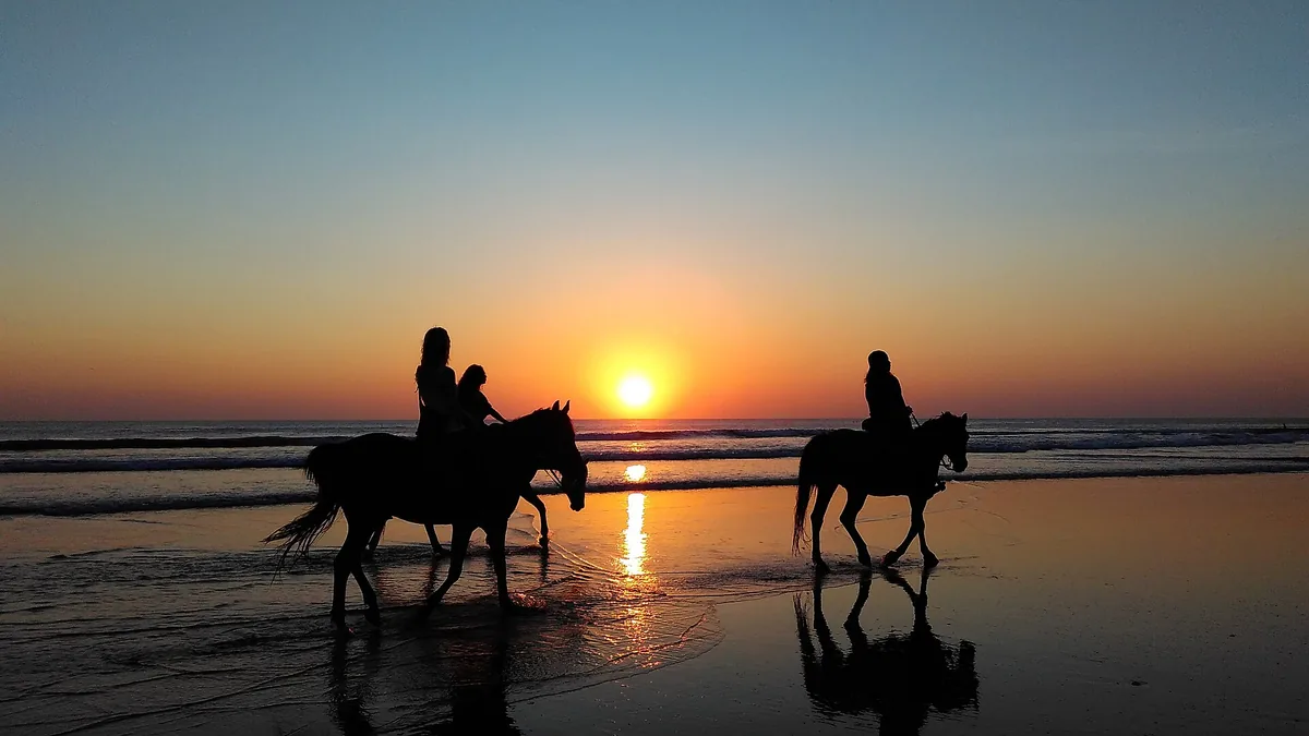 Riders on horseback at the waterline at sunset