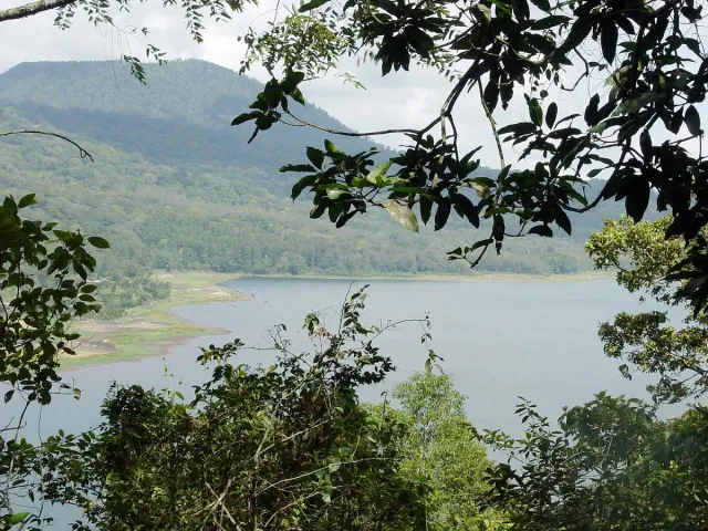 A wide lake between forested hills, seen through tree branches in the foreground
