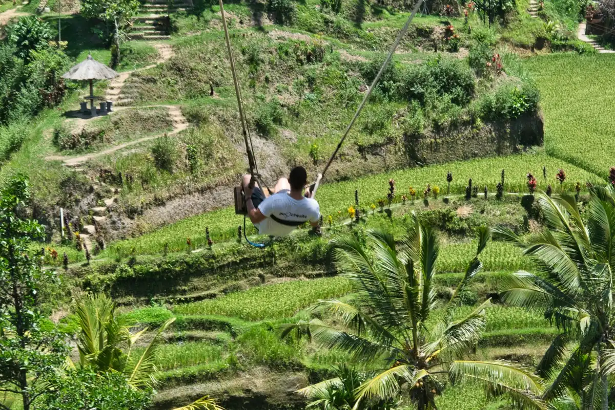 A high swing above rice terraces
