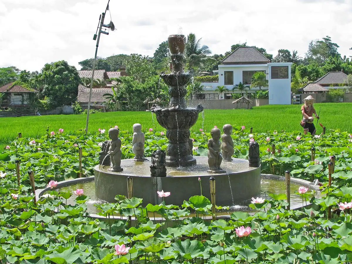 A stone fountain in a lotus pond