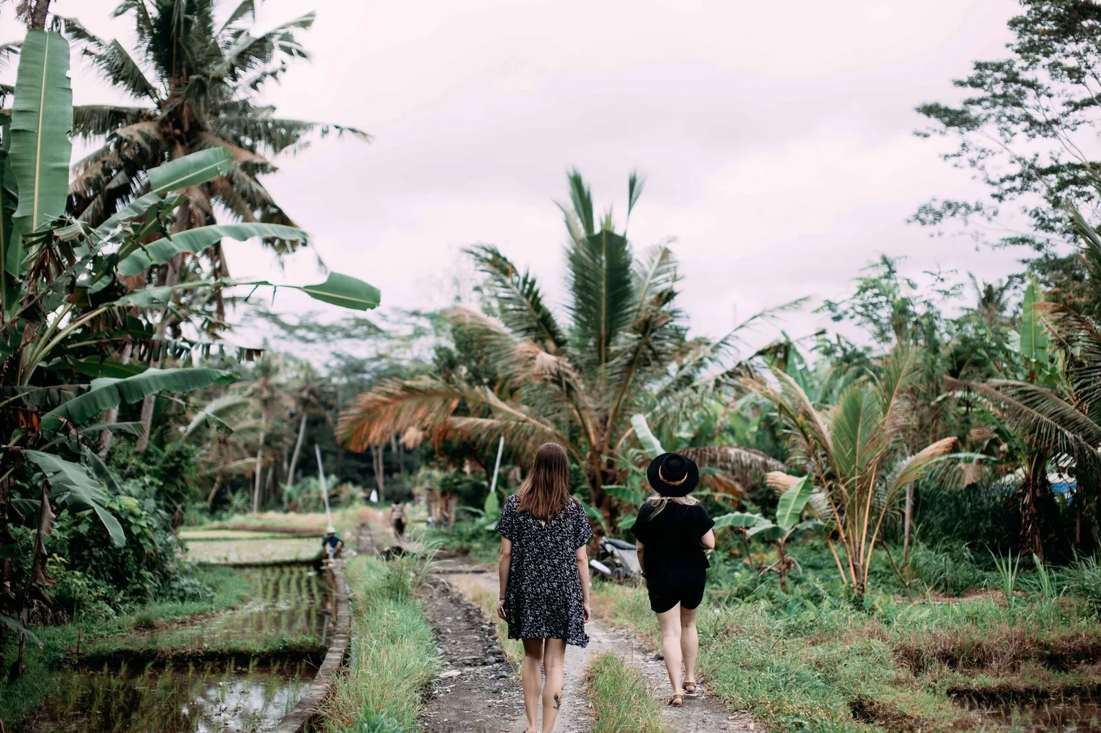 Two people walking along a path through palms and rice fields in Bali