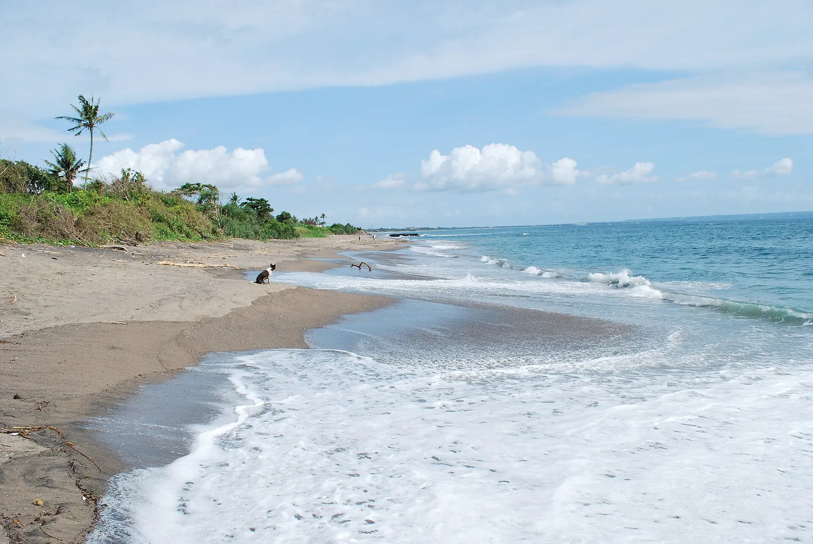 The black-sand beach and rolling surf at Canggu, Bali